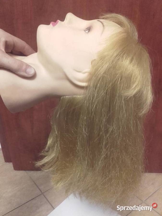 główkę fryzjerską do ćwiczeń Fryzjerstwo i kosmetyka Będzin