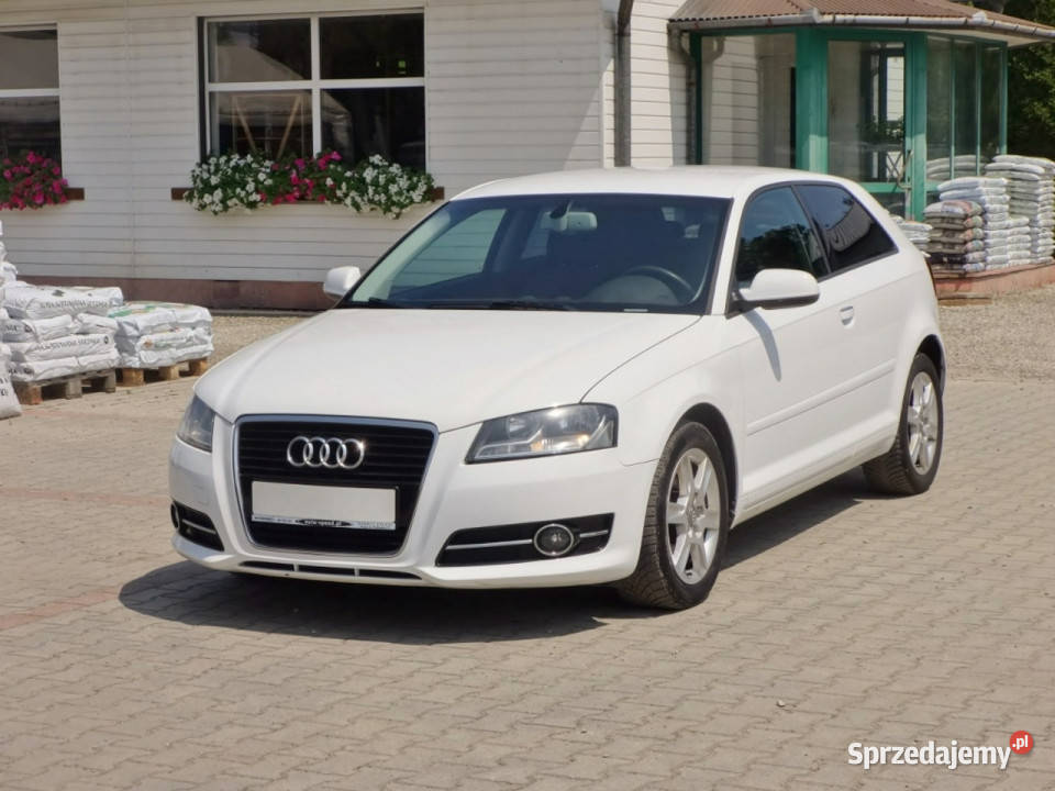 Audi A3 3drzwiowe Lift Alu LED 8P 20032012 Nowy Sącz sprzedam