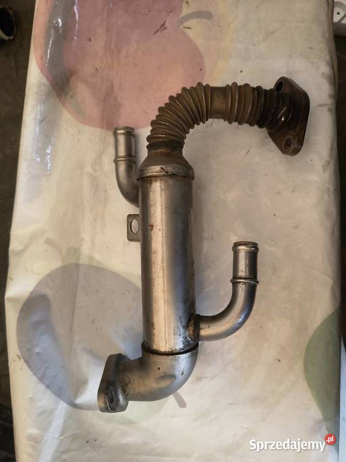 Chłodnica spalin EGR VW Seat Skoda Audi 12 14 Recyrkulacja spalin EGR Strzałków sprzedam