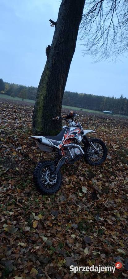 Cross kayo td125 kupiony w polskim salonie Rawa Mazowiecka sprzedam