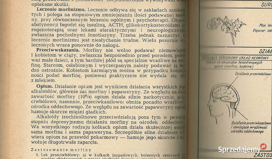 Famakologia ADanysz 1981 farmakologia medycyna Książki naukowe i popularnonaukowe Łódź