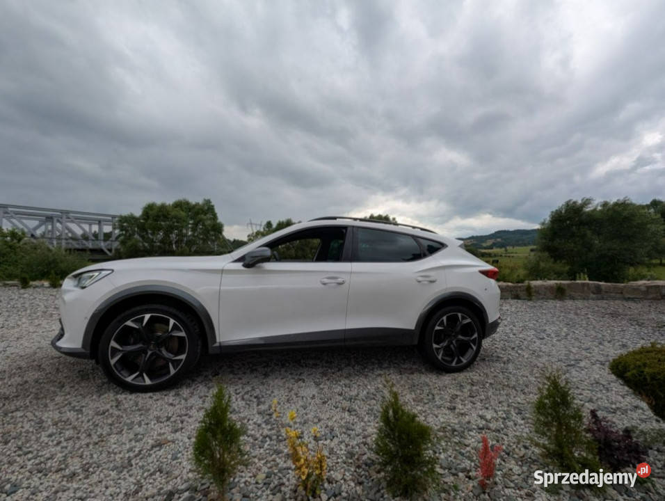 Cupra Formentor 310 4x4 ambiente wielofunkcyjna kierownica dolnośląskie Kamienna Góra