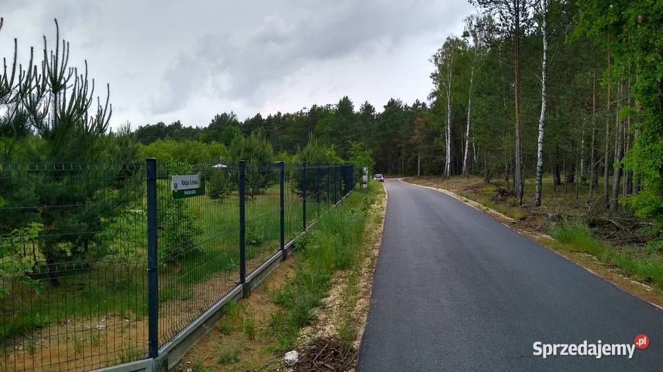 Działka rekreacyjna sprzedam Trzepnica