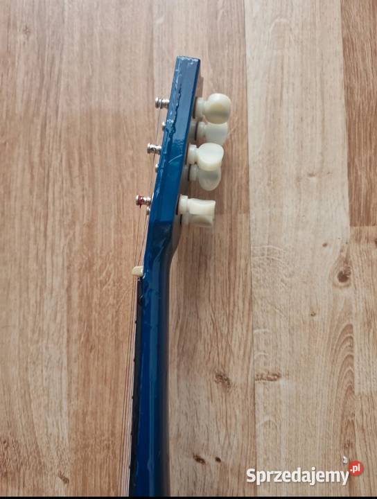 Gitara dzieci Pleszew
