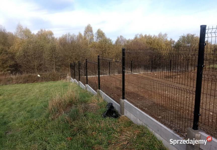 Panel ogrodzeniowy PROMOCJA 123x250 fi4mm Gorlice