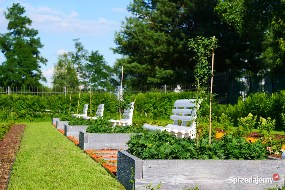 Warzywniak betonowy podwyższona grządka 128x371 Warzywniki i zielniki śląskie