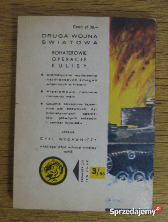 Żółty Tygrys Fiasko Burzy zimowej 386 Parczew