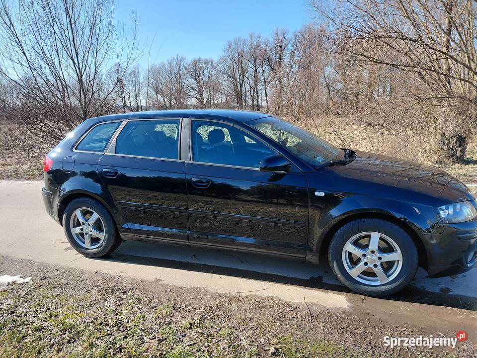 Audi a3 85KM A3 lubelskie Leszkowice