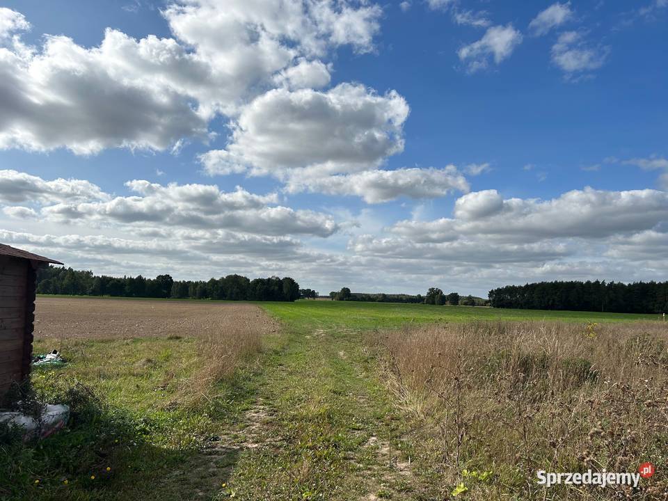Działka Sosnowo sprzedam