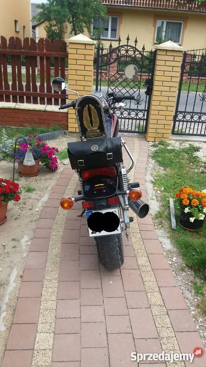 kawasaki eliminator 250 chopper Kawasaki Włoszczowa