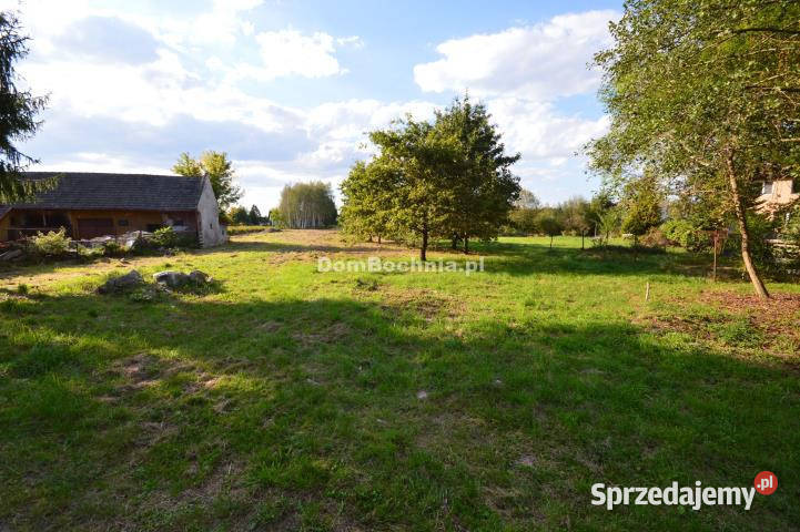 Działka 968m2 Bucze utwardzona Sprzedaż