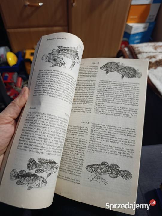 Moje akwarium Hans Frey wielkopolskie Poznań sprzedam