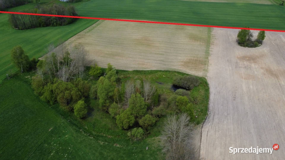 11 ha w jednym kawałku foremna działka 8 Lipna Suradowo