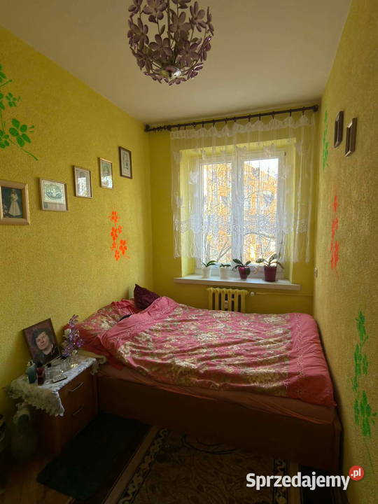 3pok 54met Paczkowskiej PEŁEN ROZKŁADPIWNICA Wrocław sprzedam