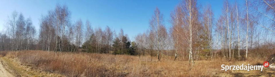 Piękna działka rekreacyjna na zaciszu Karczmiska 110m Karczmiska Pierwsze