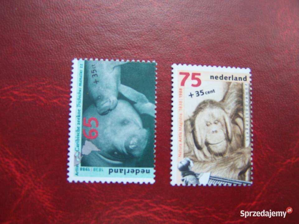 Holandia 1988 MNH Mi 134041 Fauna Zwierzęta Tychy sprzedam