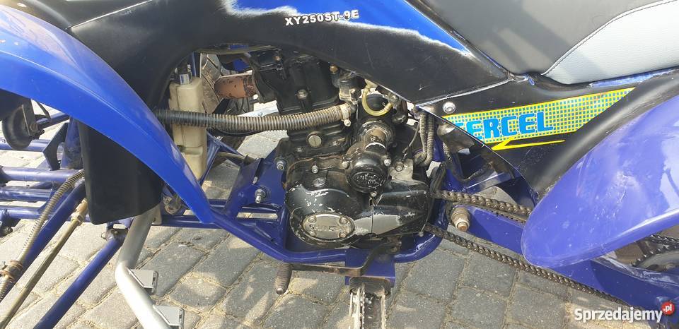 ATV 250 shineray nie bashan loncin raptor quad - ATV Jastrzębowo sprzedam