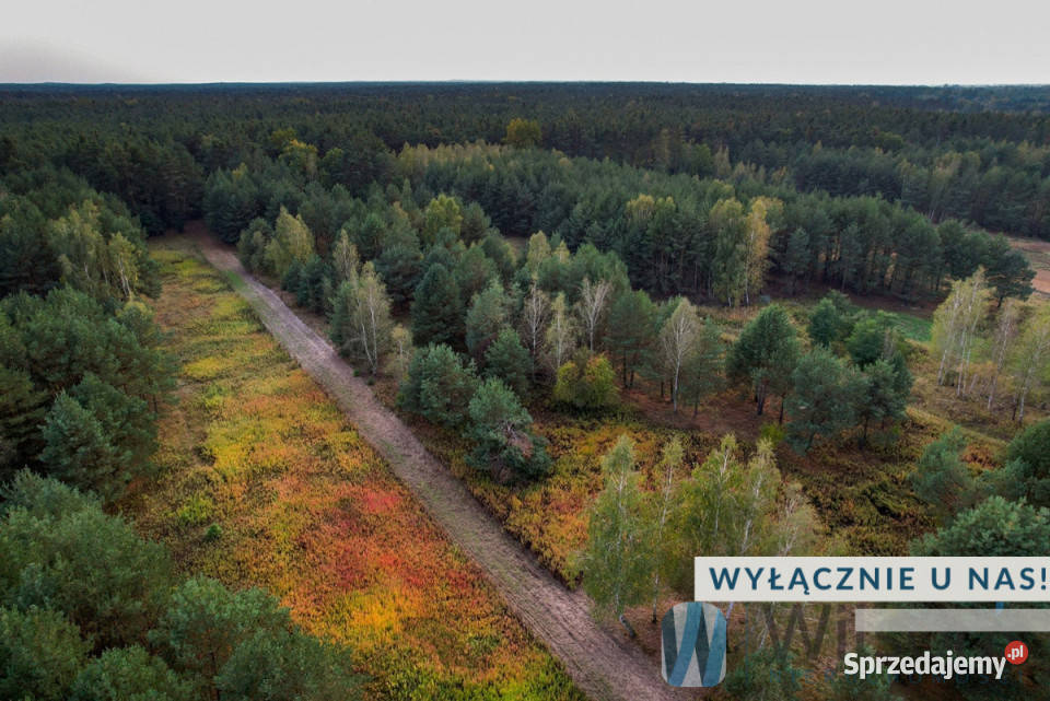 sprzedaży gruntu Czosnów 3000m2