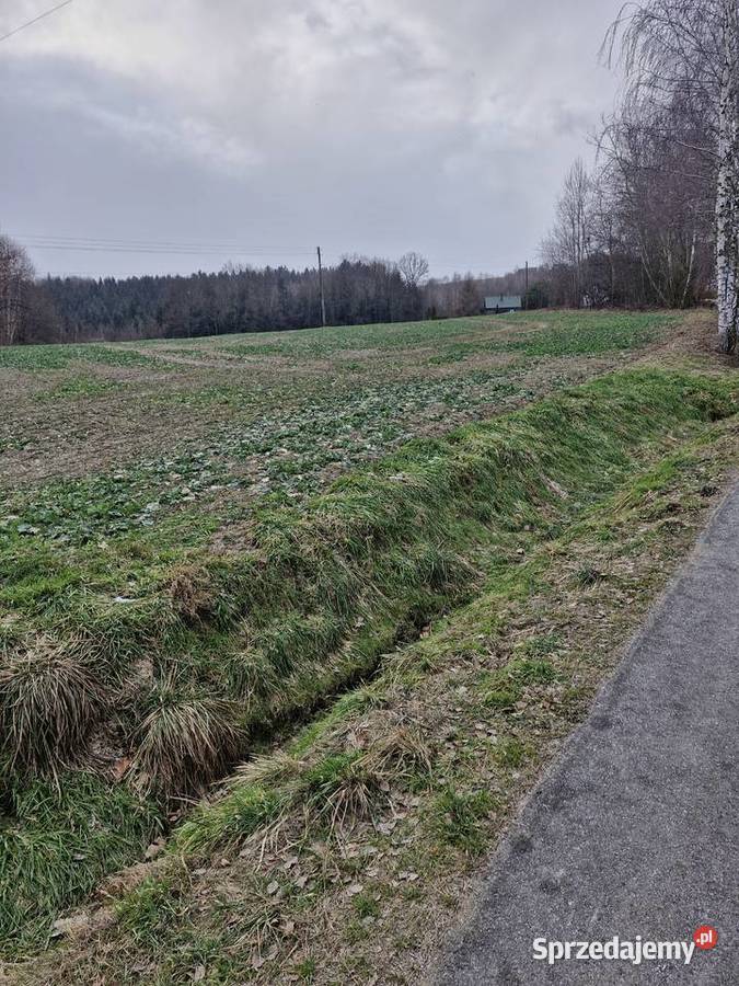 Sprzedam działkę 175ha budowlano rolna las Gruszów sprzedam