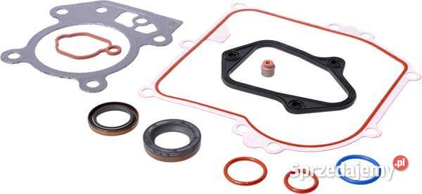 Zestaw uszczelek silnik 84006586