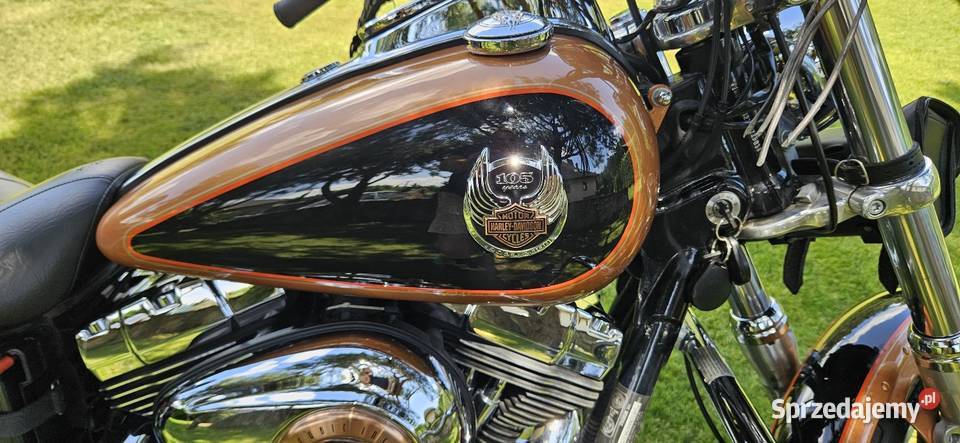 Harley Davidson świętokrzyskie Ostrowiec Świętokrzyski