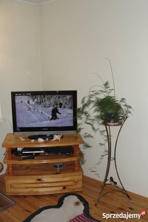 Dom Okazja Strzeszyn Biecz Strzeszyn sprzedam