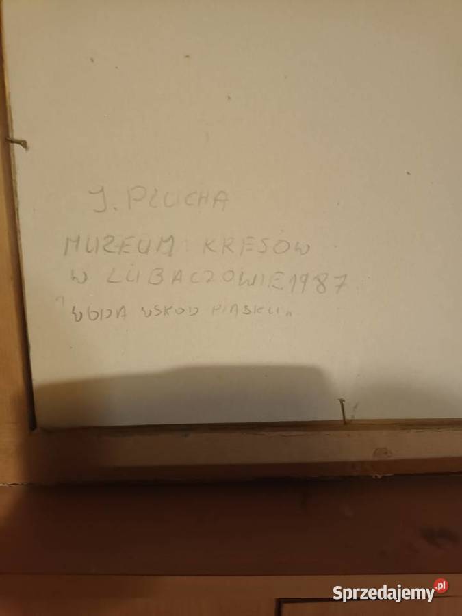 Jezioro wśród piasków Bielsko-Biała