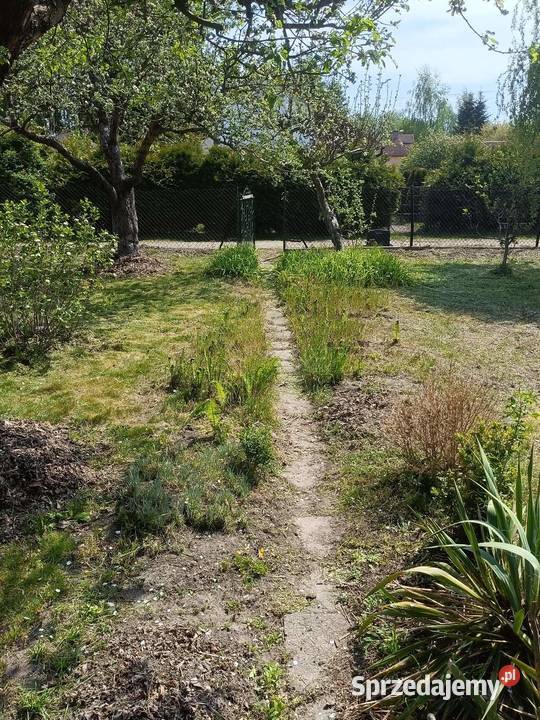 Działka ROD Paluch Miejski Warszawa