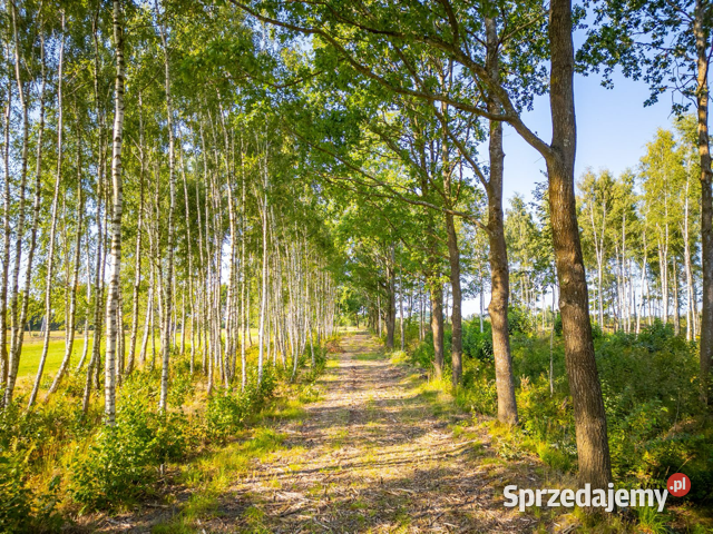 Działka budowlana 552m2 urokliwa i spokojna