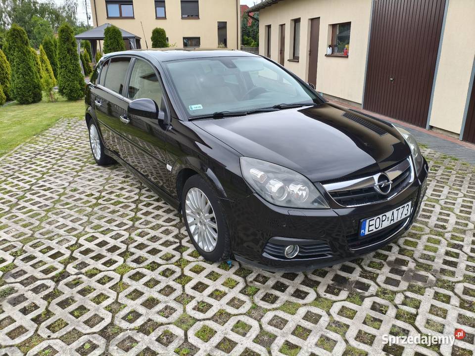 Opel Signum 19 CDTI 120 2008 Tomaszów Mazowiecki