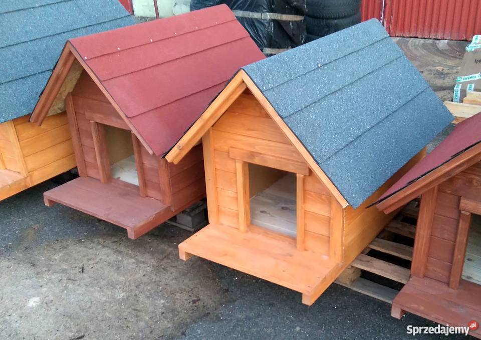 Buda psa Różne rozmiary i kolory sprzedam