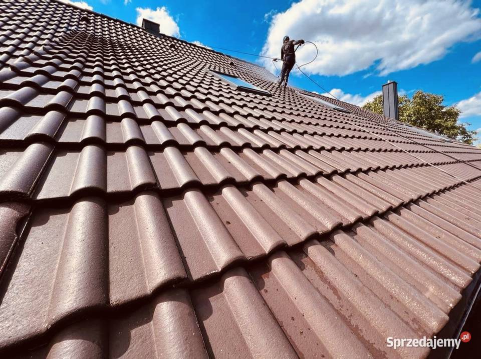 Dachy Malowanie dachu mycie dachu dachów Dzierżoniów
