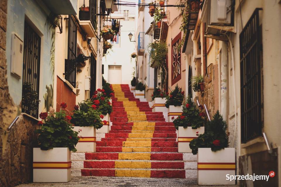 Nauka języka hiszpańskiego z native speakerami Warszawa