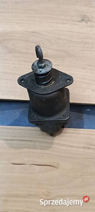 Cewka na starter Przeworno