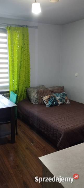 Siedlisko Czernięcin 225 ha dom 148 m 600 000 węglowe Sprzedaż Czernięcin Poduchowny sprzedam