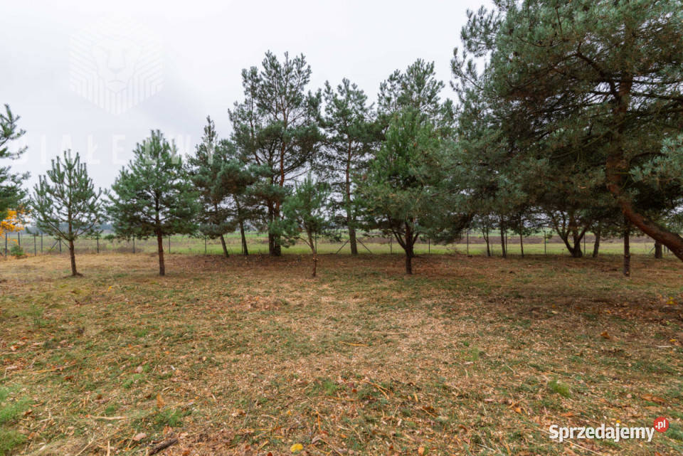 Grunt 934m2 Jachranka szambo