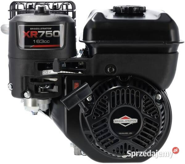 Silnik wał poziomy 1062320272F1 Kamionna