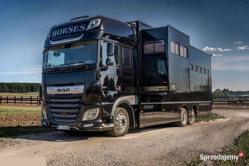 DAF XF 480 do przewozu 6 koni 2021r Luksus Rokietnica