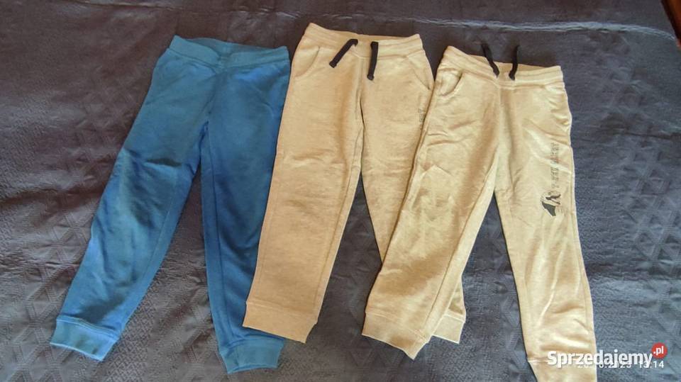 Ubrania dziecięce w rozmiarze 110 sprzedam