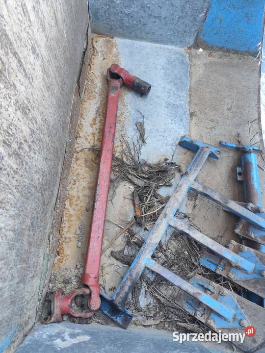 Kombajn do ziemniaków warzyw Bolko z643 mazowieckie Stara Kornica