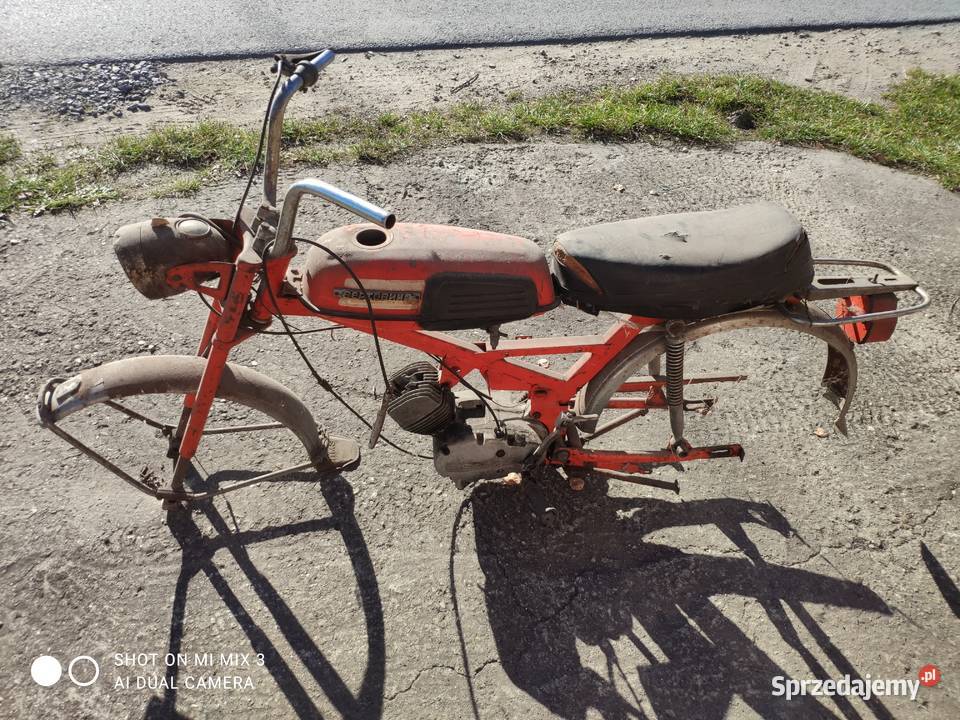 Wierchowina podkarpackie Dębica