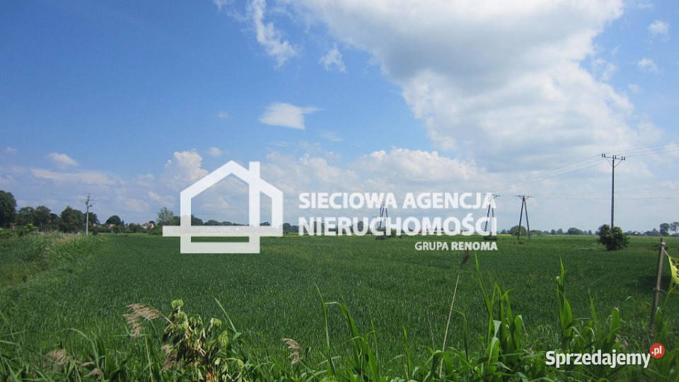 Działka 4000m2 Sztutowo pomorskie