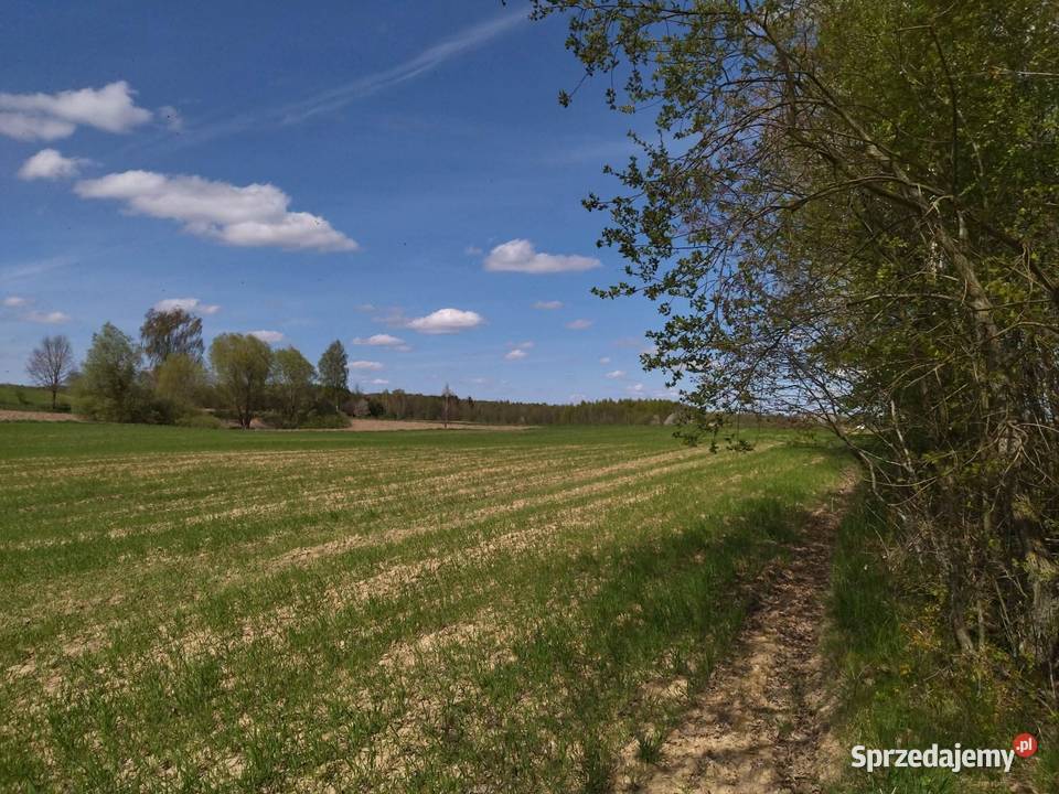 Działka budowlana na mazurach Łączno