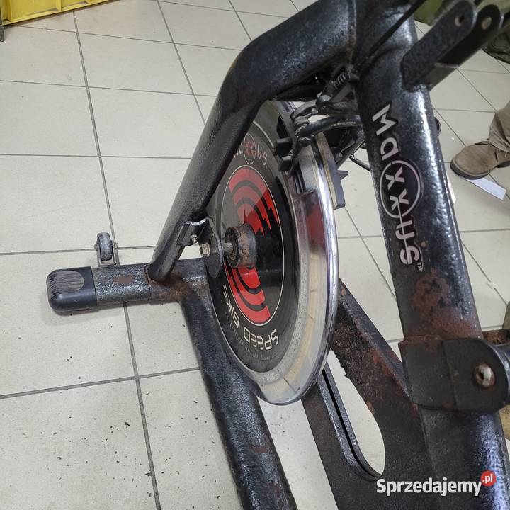 Rowerek treningowy spinningowy Maxxus Skierniewice