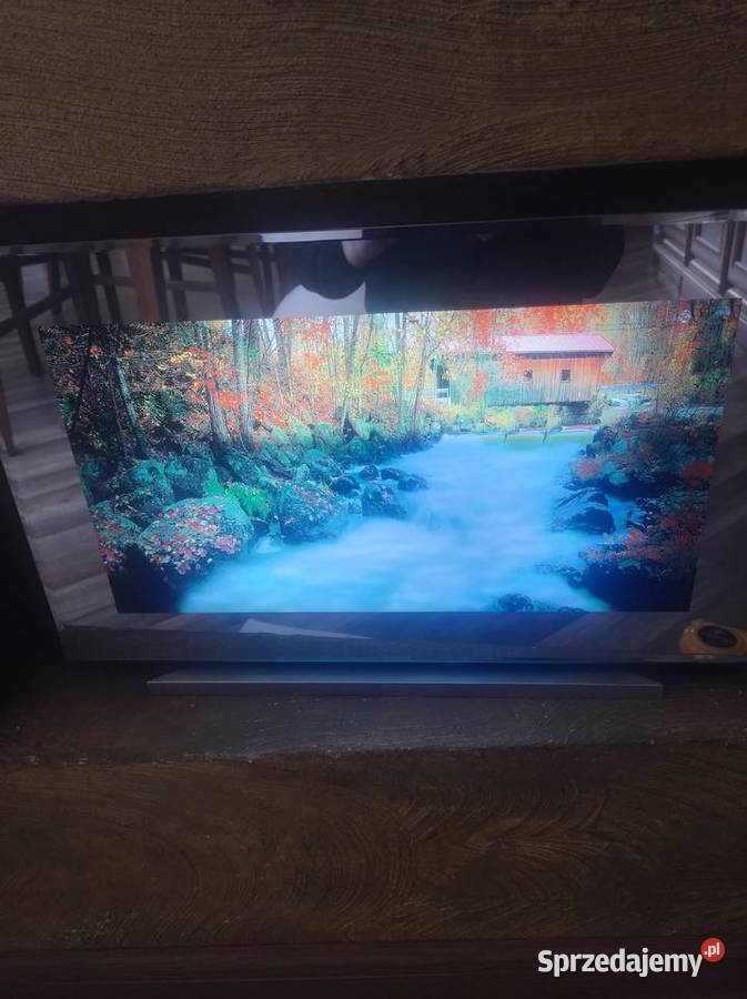 obraz elektryczny z muzyką ptaków Zgierz