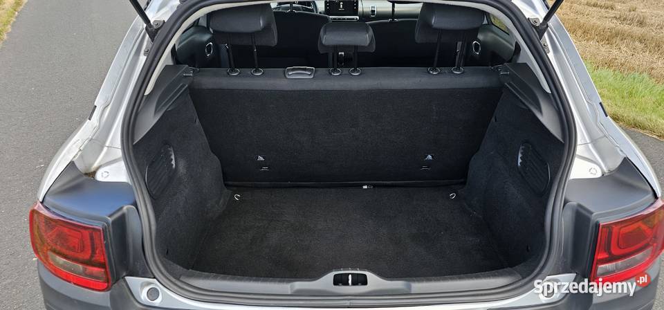 Citroen C4 Cactus Brześć Kujawski