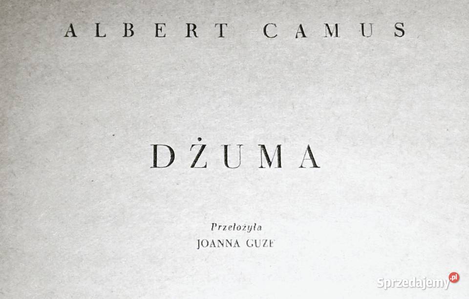 Dżuma Albert Camus lubelskie Chełm
