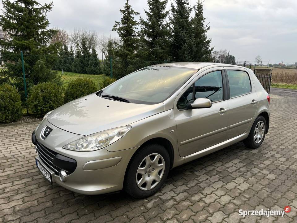 Peugeot 307 16 HDI 2007r SUPER STAN 307 Janowiec-Wieś