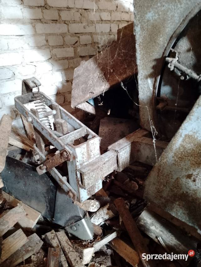 Sprzedam sadzare do ziemniaków Łuków