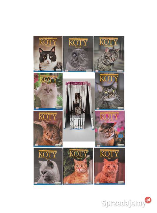 Koty Wielka Encyklopedia Axel Springer Polska ISBN 9788378819134 Kielce
